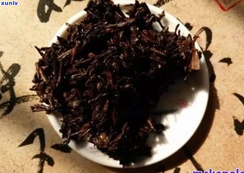 普洱茶熟茶苦涩正常吗？如何调整口感？