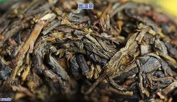 特级熟普洱茶多少钱一斤：价格、百科与特级生普洱对比