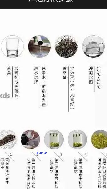 探索熟普洱茶冲泡度的艺术：水及影响因素分析