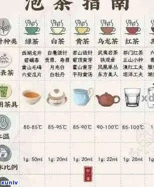 探索熟普洱茶冲泡度的艺术：水及影响因素分析