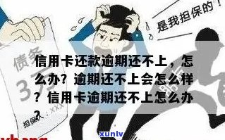 信用卡欠款逾期还不起了怎么办？