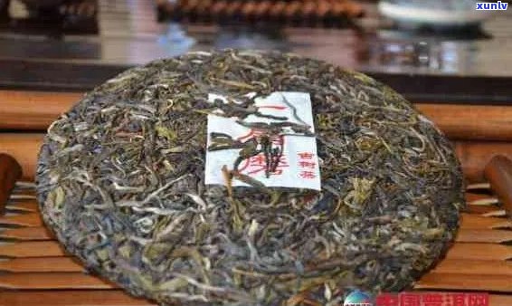 陈香普洱茶茶饼价格大全：了解各类产品的价格及购买建议