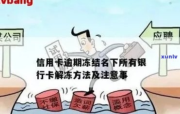 汇丰信用卡逾期被冻结解冻操作步骤