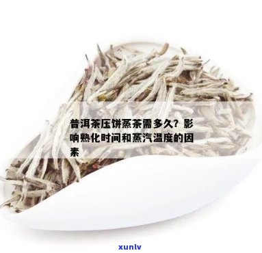 普洱茶蒸压的度以及对茶叶品质的影响：探究蒸压度及工艺参数