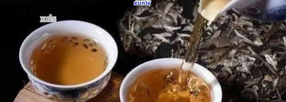 普洱茶饼泡好的时间：什么时候泡普洱茶饼？