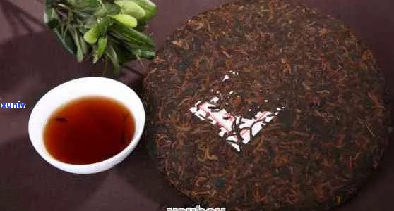 普洱茶饼泡好的时间：什么时候泡普洱茶饼？