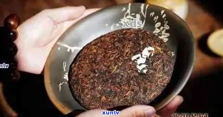 普洱茶青饼茶的 *** 工艺与品鉴 *** ：从原料到口感全解析