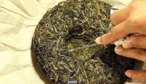 普洱茶的青饼与红茶：两种不同的发酵程度和口感体验