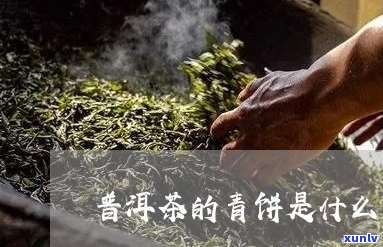 什么叫普洱茶的青饼