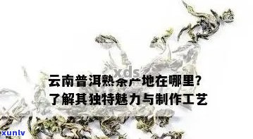 古云海普洱茶：品质、产地、 *** 工艺与功效的全面解析