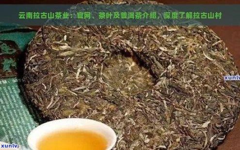 古云山普洱茶好不好