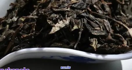 春尖普洱茶的功效与作用及禁忌：全面解析其健益处与潜在风险