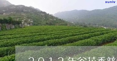 春尖谷花普洱茶价格