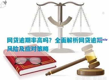 网贷逾期风险与应对策略：详细信息与实用建议