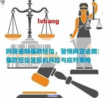 网贷逾期风险与应对策略：详细信息与实用建议