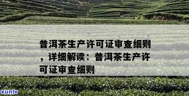 如何查看普洱茶生产可证以及相关流程和要求？