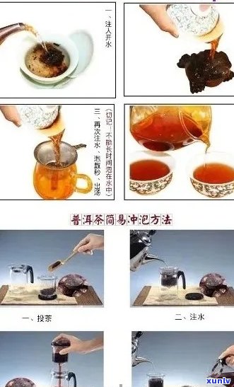 普洱茶入门指南：快速掌握简单泡法与品鉴技巧