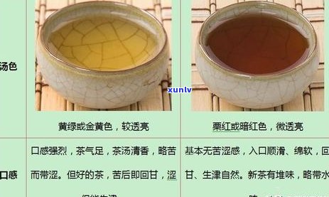 全方位解析普洱茶泡法：从选水到冲泡，让你轻松掌握完美泡茶技巧