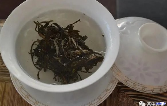 普洱茶入门指南：快速掌握简单泡法与品鉴技巧