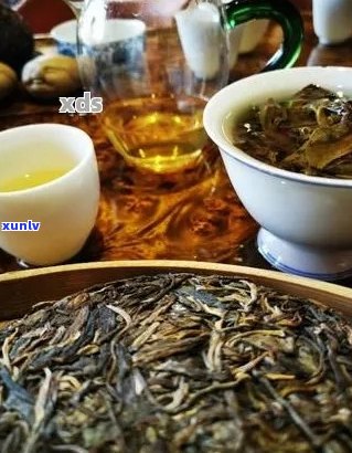 普洱茶启英：探索普洱茶的历、 *** 工艺与品饮技巧