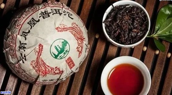 普洱茶启英：探索普洱茶的历、 *** 工艺与品饮技巧