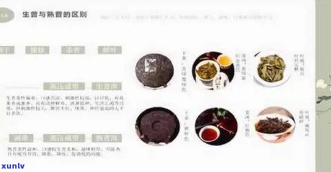 普洱茶的历、种类、 *** 工艺及品饮 *** ：一篇全面的普洱茶话