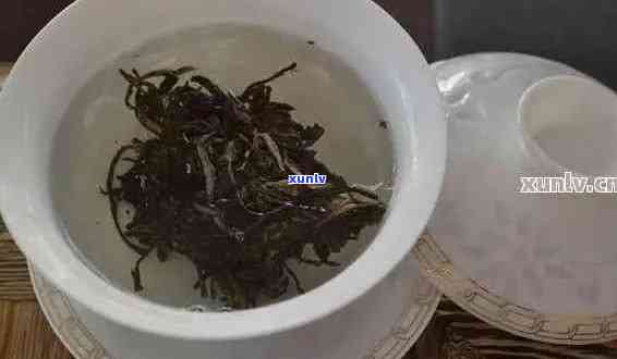 探究普洱茶冲泡：是否需要每次都续开水？