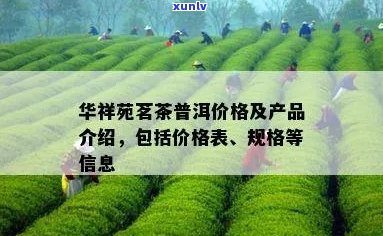 华祥苑普洱茶：价格一览表、品质评价与购买建议，全方位了解普洱茶