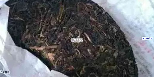 普洱茶饼有点发白霉