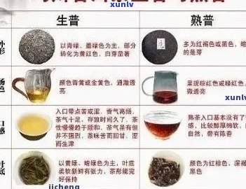 普洱茶：凉性还是热性？对胃的影响如何？