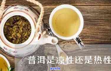 普洱茶是凉性是热性