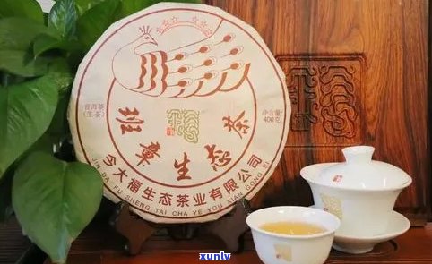 庆普洱茶问世60周年：一款茶叶背后的文化传承与创新