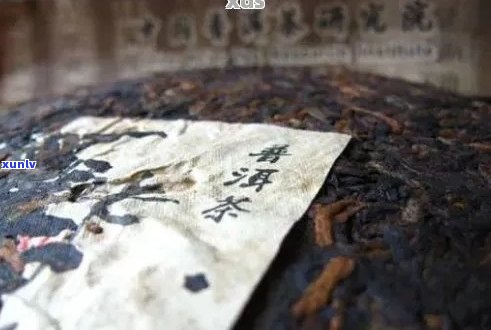 庆普洱茶问世60周年：一款茶叶背后的文化传承与创新