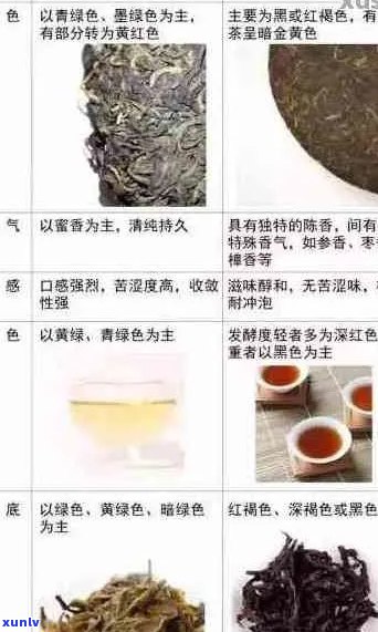 探寻澜心中的普洱茶宝藏：最喜爱品种、品鉴 *** 与口感体验一网打尽