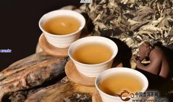 澜普洱茶全解析：品种、 *** 工艺、品鉴 *** 与功效一应俱全