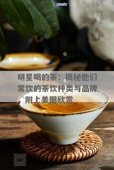 澜喜欢喝什么茶：探索名厨的饮品偏好