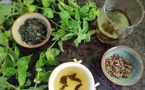 薄荷叶可以和普洱茶一起泡吗： 探索茶叶中的相辅相成