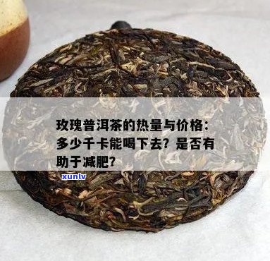 一杯普洱茶多少热量