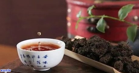 肃茶文化：当地人是否喜欢普洱茶？