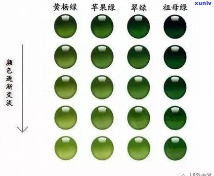 翡翠的色彩世界：探索各种颜色类型与评价标准