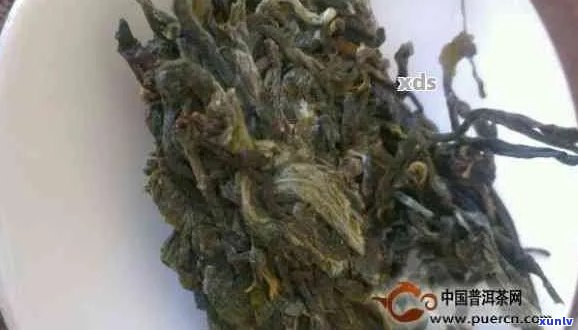 新 黄草坝普洱茶：口感醇厚，品质越，是否值得一试？