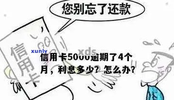 信用卡逾期5000元：解决方案及注意事项一览