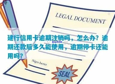 建行信用卡逾期建议注销：逾期还款后是否可办理蓄卡及多久能再次使用？