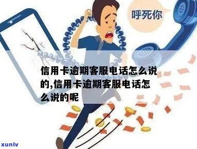 关于信用卡逾期问题，银行 ***  *** 详细解答