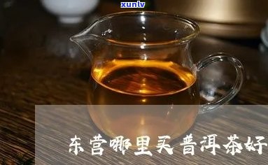 东营市普洱茶交流群