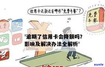 信用卡哪些额度不能逾期