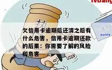 新 逾期还款后信用卡彻底清零，会有哪些潜在风险与后果？