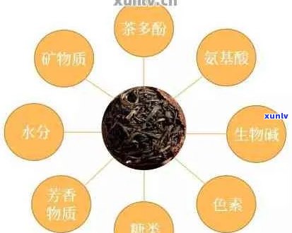 新 探究普洱茶成分对病的影响：科学研究显示其潜在抗病效果