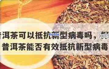 普洱茶能抗病吗：探究普洱茶对新型冠状病的潜在效果