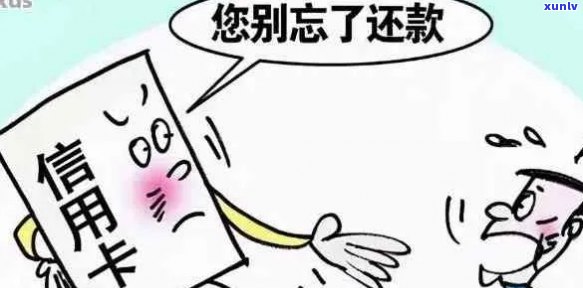 亲信用卡逾期：责任追究与解决之道